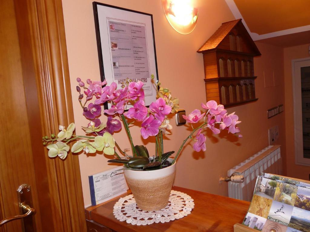 Hostal Rural Casa Castro Alberuela de la Liena Dış mekan fotoğraf