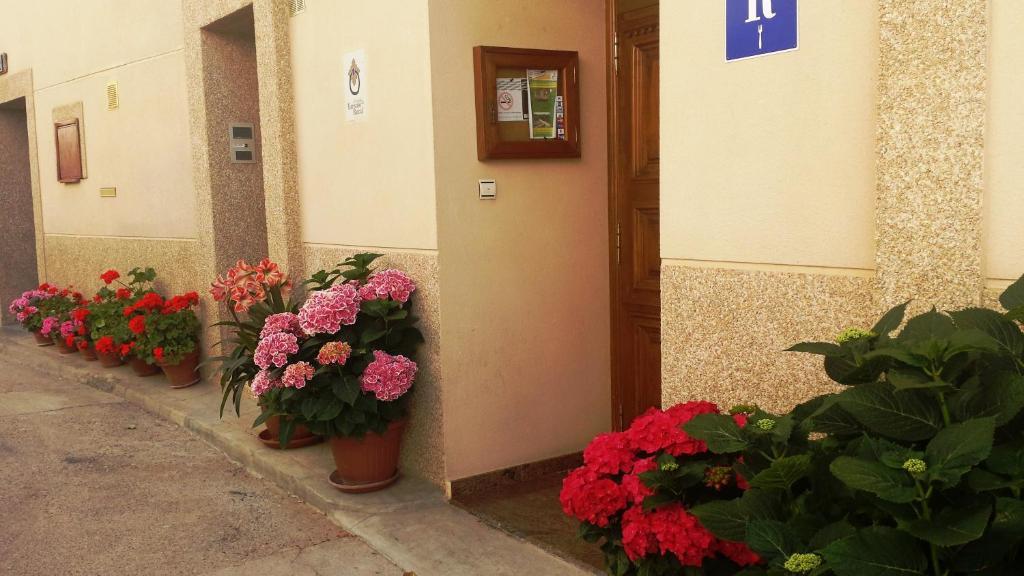 Hostal Rural Casa Castro Alberuela de la Liena Dış mekan fotoğraf